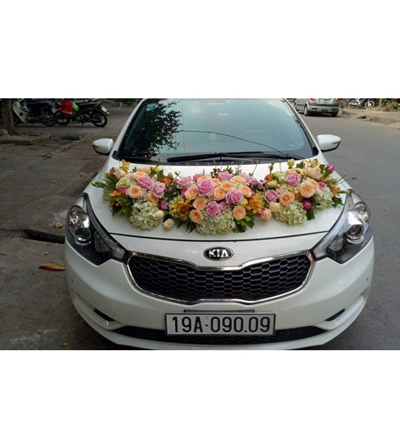Xe hoa 011